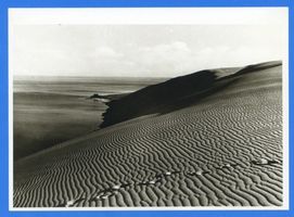  Kurische Nehrung, Spuren im Dünensand II Kurische Nehrung, Dünen