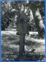 Nidden, Kreis Memel Nidden, Friedhof VII Нидден, кладбище, VII