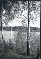 Kraukeln, Kreis Lötzen Kraukeln, Am Kraukelner See Masurische Seen