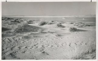  Kurische Nehrung, Dünen und Haff VI Kurisches Haff