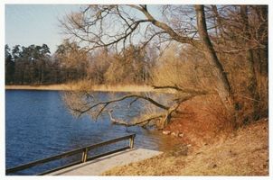  Rominter Heide, Marinowo-See VIII Rominter Heide, Marinowo-See