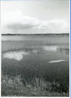  Masuren, Seenlandschaft V Мазуры, озёрный ландшафт V
