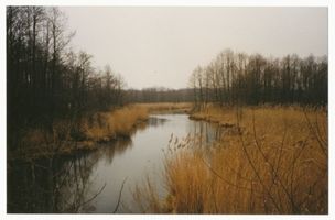  Elchniederung, Landschaft beim Forstamt Pailt Elchniederung, Landschaftsaufnahmen