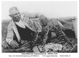 Inse, Ort, Kreis Elchniederung 