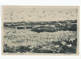 Rossitten Kr. Samland, Kreis Samland 