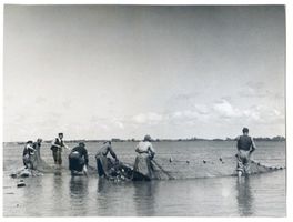  Kurische Nehrung, Fischer beim Netzeeinholen II Kurische Nehrung, Fischerei