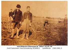 Groß Friedrichsdorf, Kreis Elchniederung 