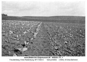 Freudenberg Kr. Rastenburg, Kreis Rastenburg 