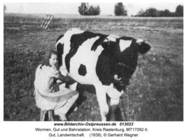 Wormen Kr. Rastenburg, Gut und Bahnstation, Kreis Rastenburg 