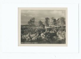 Cadinen, Kreis Elbing 