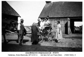 Haldenau (Ostpr.), Kreis Ebenrode 