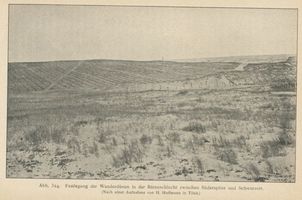  Kurische Nehrung, Festlegung der Wanderdünen in der Bärenschlucht zwischen Süderspitze und Schwarzort Kurische Nehrung, Dünen
