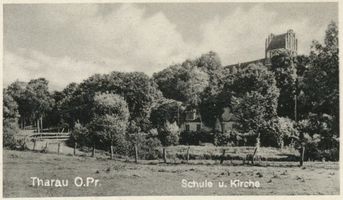 Tharau, Kreis Preußisch Eylau Tharau, Schule und Kirche 