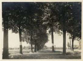 Glaubitten, Kreis Rastenburg Glaubitten, Landstraße III 