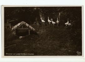 Rossitten Kr. Samland, Kreis Samland 