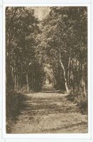 Cranz Kr. Samland, Ort, Kreis Samland 