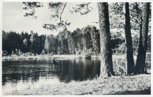  Lyck (Kreis) Am Tatarensee II Лык (округ), у Татарского озера, II