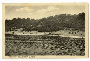 Rauschen Kr. Samland, Kreis Samland Rauschen Kr. Samland, Strand IX Раушен, р-н Самбия, пляж, IX