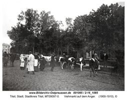 Tilsit, Stadt, Stadtkreis Tilsit Angerstraße