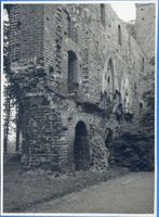 Balga, Kreis Heiligenbeil Balga, Burgruine, Schlosshof VII Бальга, руины замка, замковый двор, VII