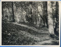 Königsberg (Pr.), Stadtkreis Königsberg Königsberg, Park Luisenwahl V Königsberg, Stadtteil Mittelhufen