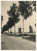  Kreis Allenstein, Windmühle an der Landstraße bei Allenstein 