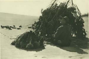  Kurische Nehrung, Der Krajebieter in der Fangbude 