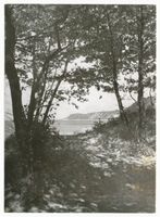  Samlandküste, Ausblick II Самбийский берег, вид, II
