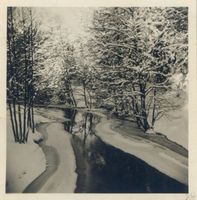  Rominter Heide, Winterbild II 