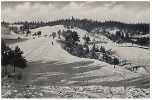  Galtgarben Samland, Skigelände II 