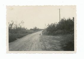  Frische Nehrung, Weg quer durch die Nehrung Фришская коса, дорога поперёк косы