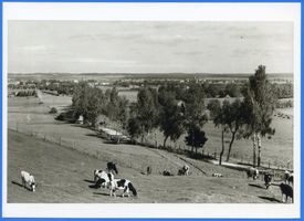 Goldap, Kreis Goldap 