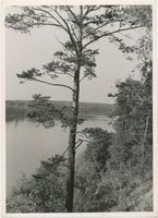  Johannisburger Heide, Waldsee 