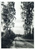  Johannisburg (Kreis), Heideweg am Niedersee 