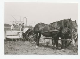 Obrotten, Kreis Samland Obrotten, Bauernhof Klemm, bei der Ernte 