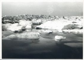 Neukuhren, Kreis Samland Neukuhren, Ostsee mit Eisschollen II 