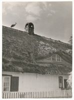  Großer Friedrichsgraben, Fischerkate Большой Фридрихсграбен, рыбацкая изба