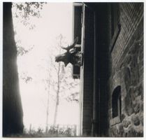 Pait, Kreis Elchniederung Pait, Jagdschloß, Elchkopf als Wandtrophäe am Haus Пайт, охотничий замок, голова лося как настенный трофей на доме