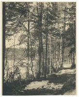  Niedersee (See), Schneeschmelze am Niedersee Masuren, Niedersee