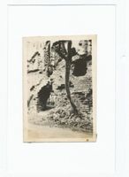 Balga, Kreis Heiligenbeil 