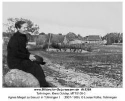 Tollmingen, Kreis Goldap 