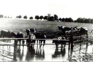 Wargienen Kr. Samland, Kreis Samland 