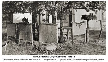 Rossitten Kr. Samland, Kreis Samland 