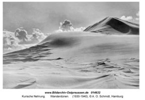   Kurische Nehrung, Dünen