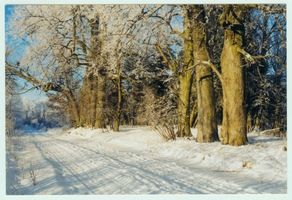 Schönlinde Kr. Gerdauen, Kreis Gerdauen 