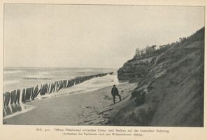  Kurische Nehrung, Küstenschutz, Offene Pfahlwand zwischen Cranz und Sarkau Куршская коса, защита берега, открытая свайная стена между Кранцем и Заркау