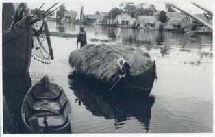 Elchwerder Kr. Labiau, Ort, Kreis Labiau Elchwerder Kr. Labiau, Heuernte mit dem Boot II Эльхвердер, р-н Лабиау, сенокос с лодкой, II