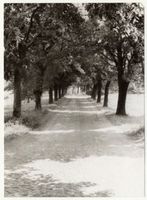 Mulden Kr. Lyck, Kreis Lyck 