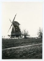 Postnicken, Kreis Samland Postnicken, Windmühle 