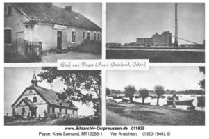 Peyse, Kreis Samland 